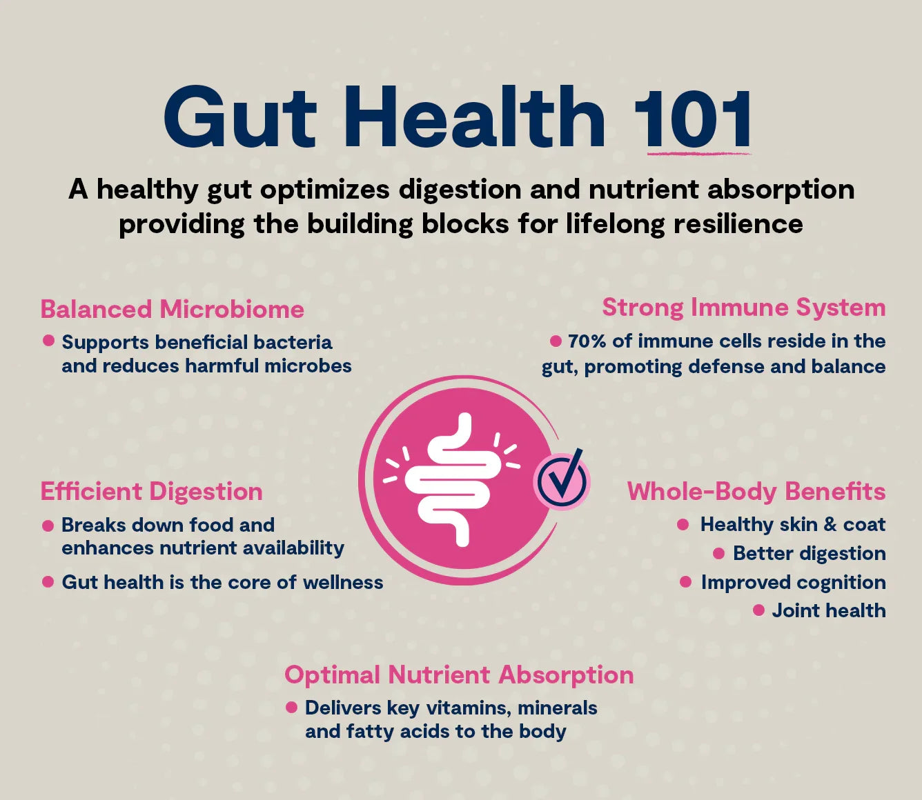 GoodGut Wild-Caught Salmon Dog Kibble