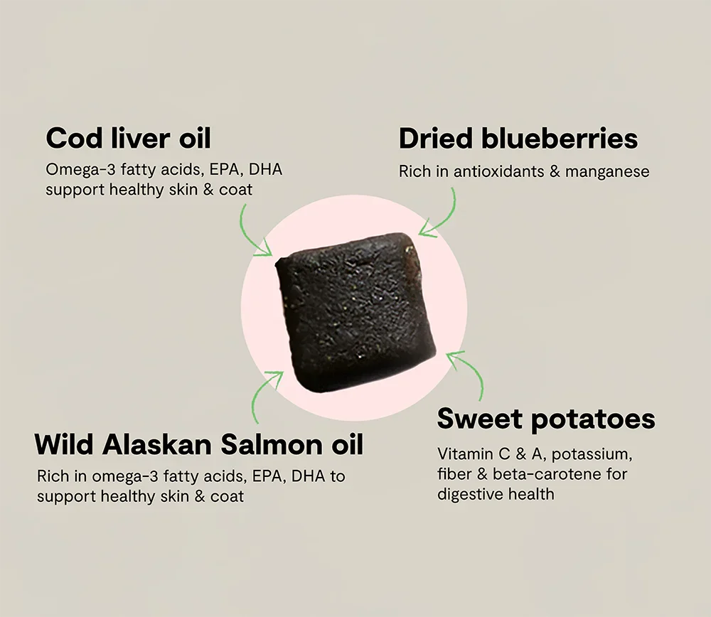Skin & Coat Food Supplement Chews for Dogs