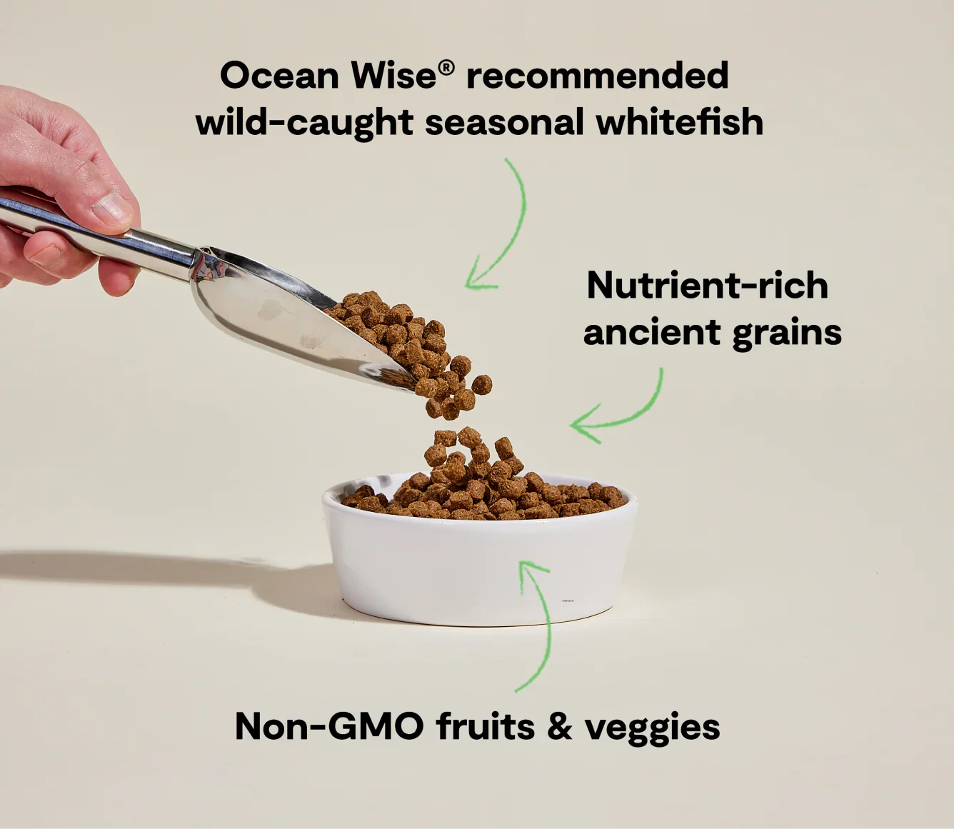 Whitefish & Ancient Grains Dog Kibble