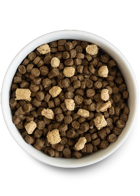 RawMix Plus Bundle for Dogs