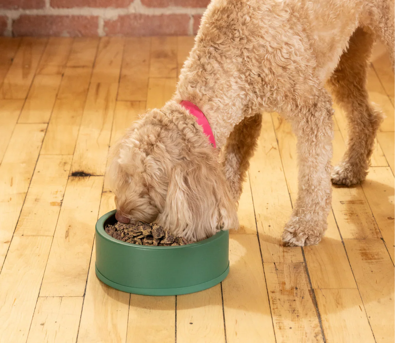 Surf & Turf Air Dried Recipe for Dogs