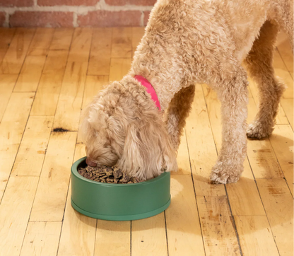 Surf & Turf Air Dried Recipe for Dogs