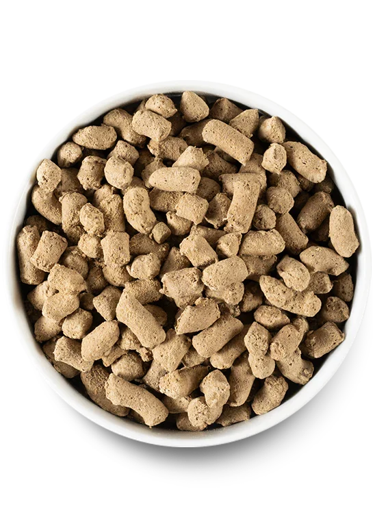Picky Pets Bundle