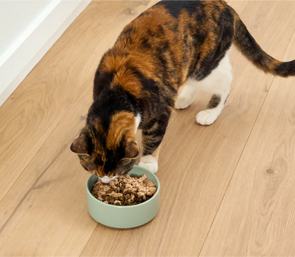 Salmon Topper for Cats