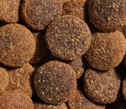 Better Biscuits Wild-Caught Salmon & Oatmeal Treats