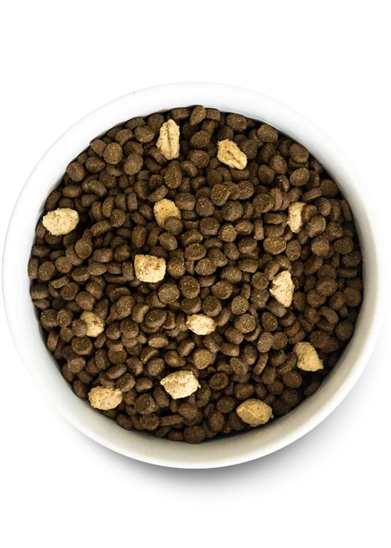 Feline RawMix Plus Bundle