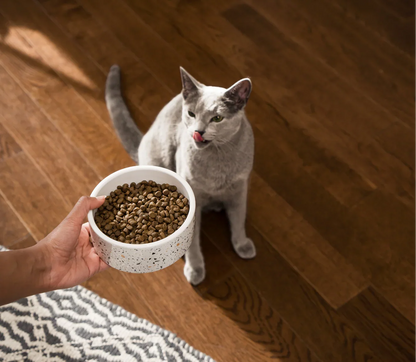 Whitefish Grain-Free Cat Kibble