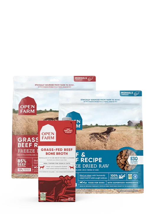 Picky Pets Bundle