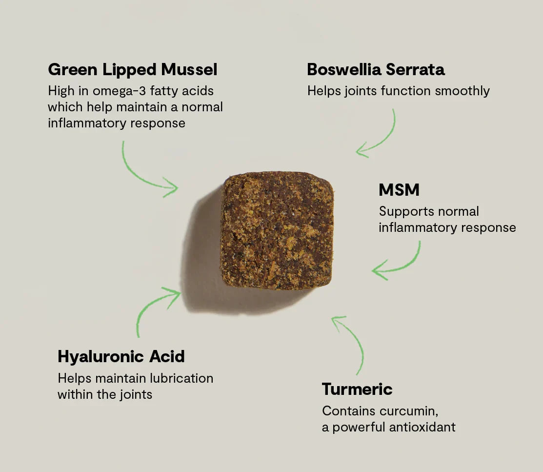 Hip & Joint Supplement Chews for Dogs