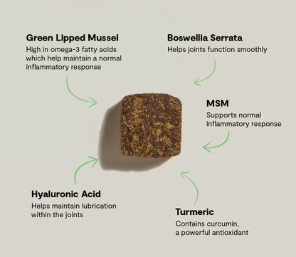 Hip & Joint Supplement Chews for Dogs
