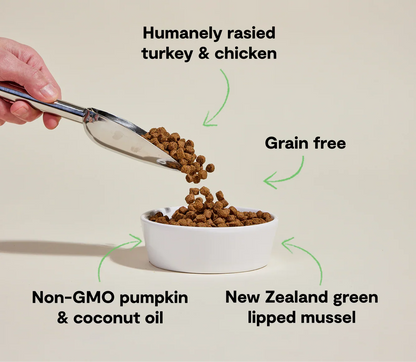 Senior Grain-Free Dog Kibble