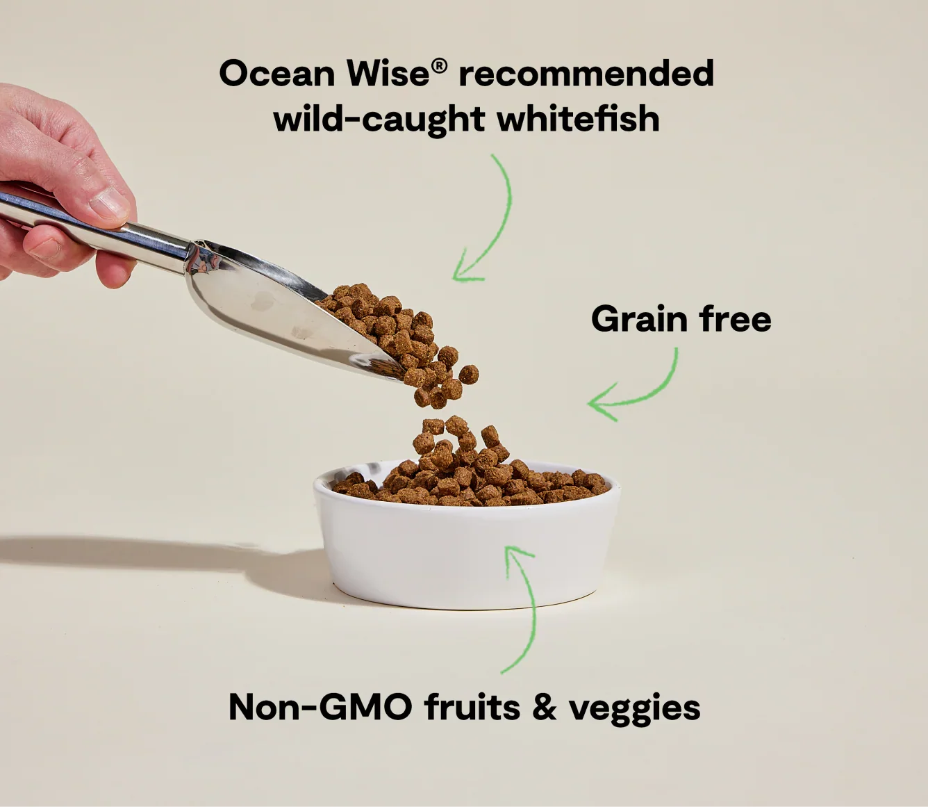 Whitefish Grain-Free Dog Kibble