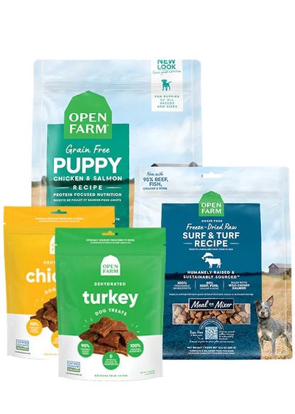 Puppy Essentials Pack