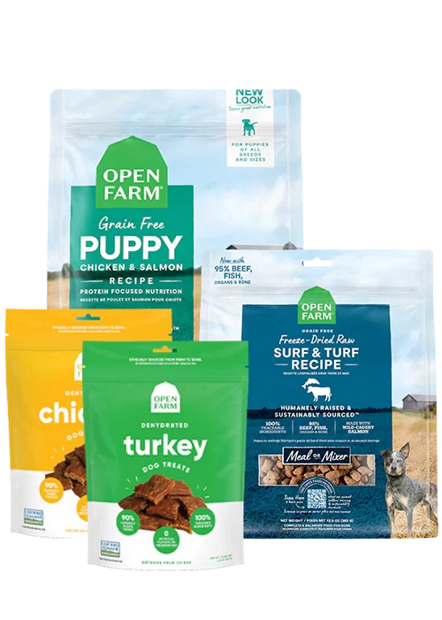Puppy Essentials Pack