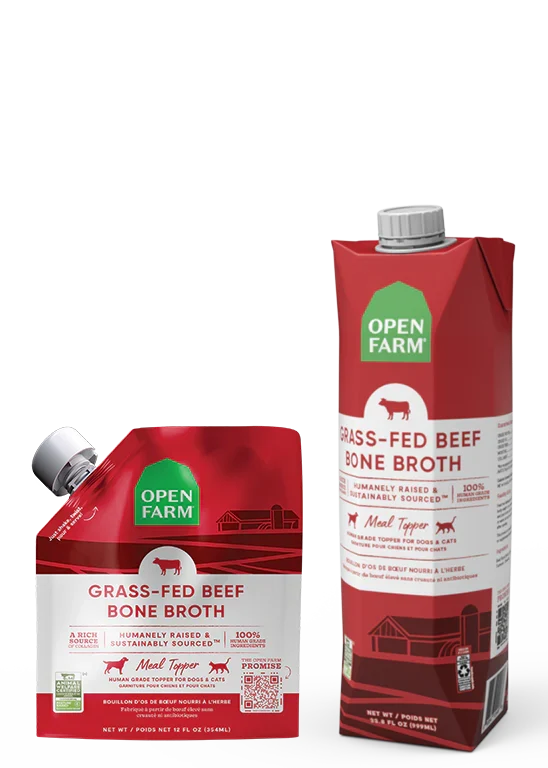 Grass-Fed Beef Bone Broth for Cats
