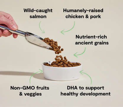 Chicken & Salmon Ancient Grains Puppy Kibble