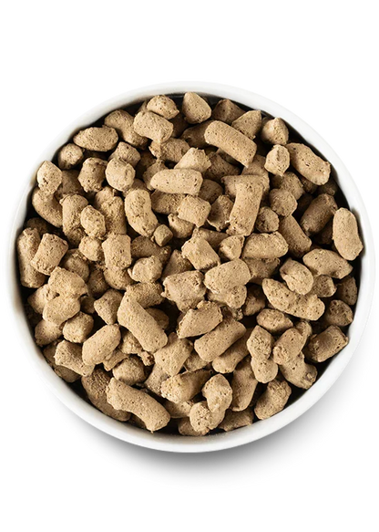 Puppy Essentials Pack