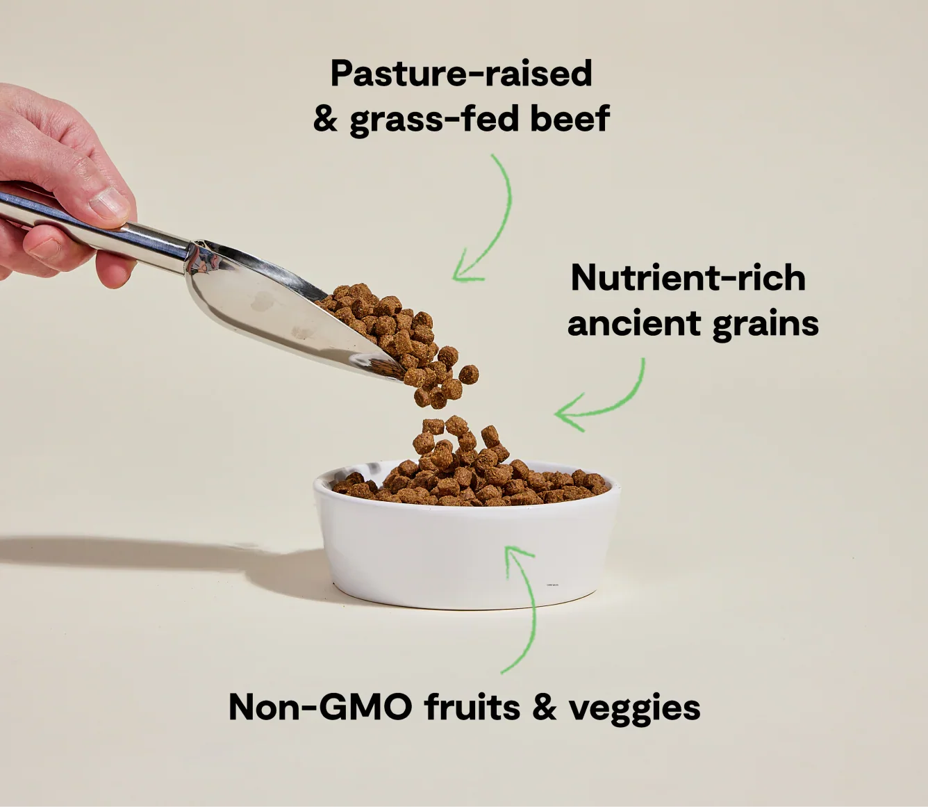 Grass-Fed Beef & Ancient Grains Dog Kibble
