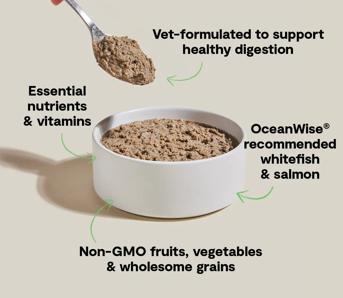 Wild-Caught Whitefish & Pollock Digestive Health Pâté for Dogs