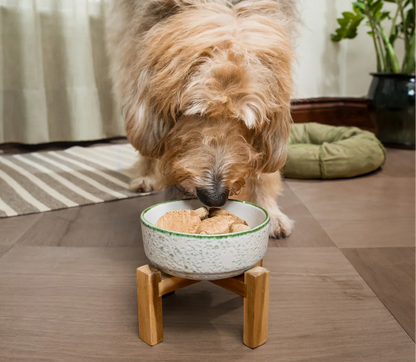 Surf & Turf Freeze Dried Raw Patties for Dogs